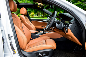 車を借りる BMW 530e M Sport(19-23)  11