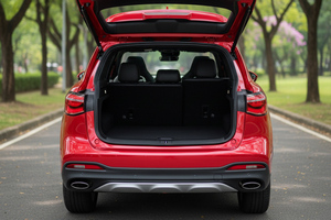 車を借りる MG HS (22-24)  9